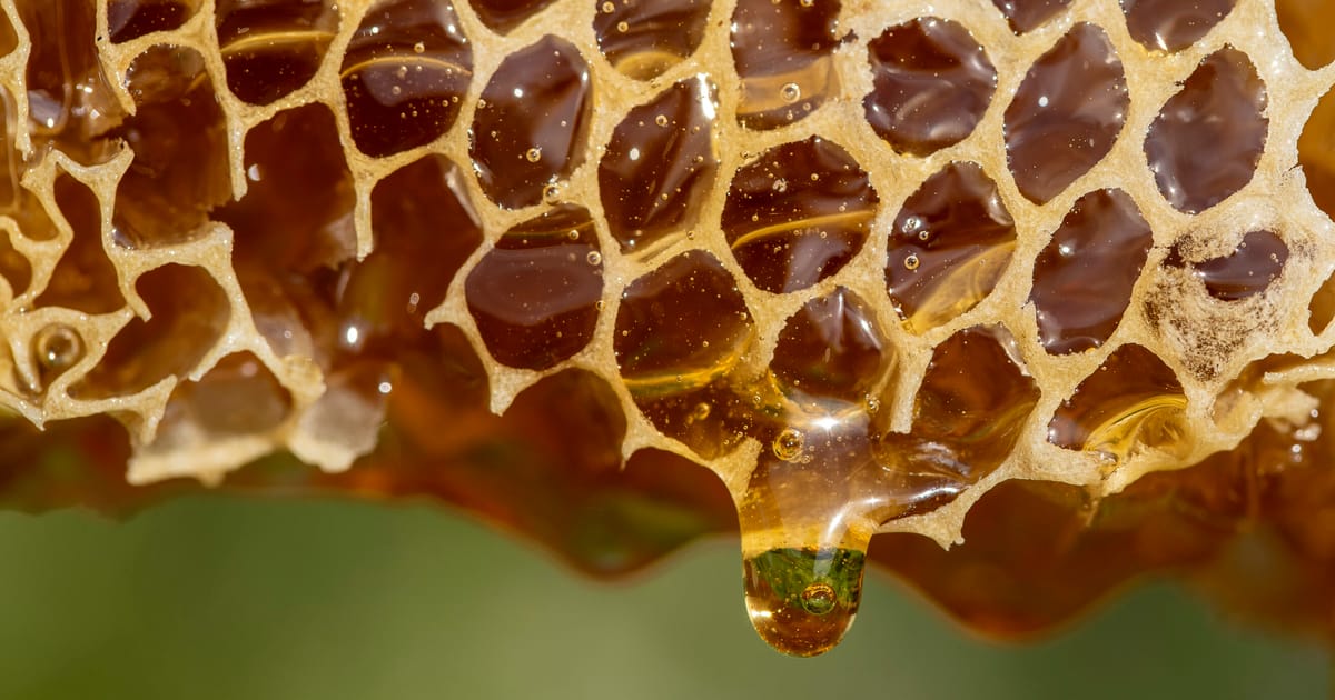 Miere cu Viagra inunda Franta avertizeaza oficialii