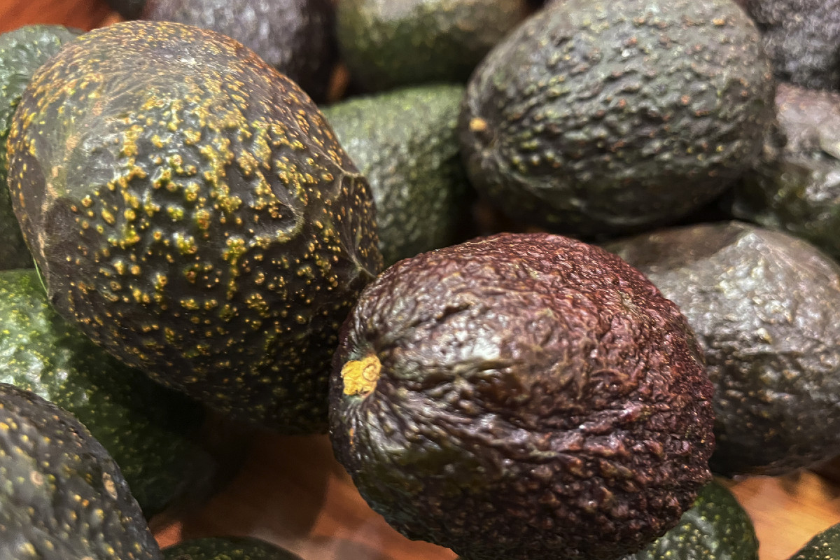 Aceasta este o rana auto provocata economiei americane