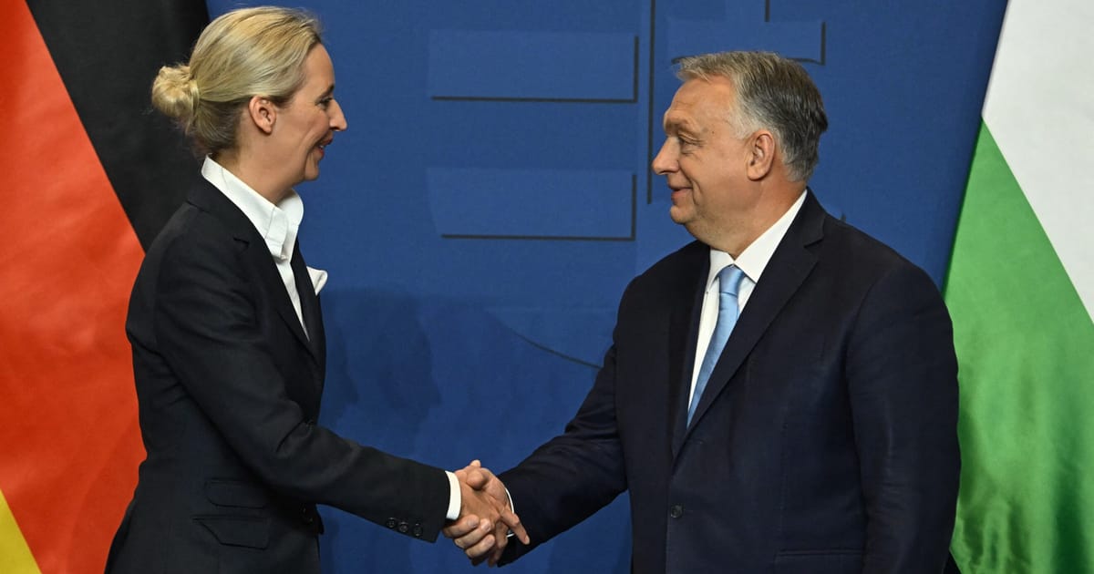 Extrema dreaptă germană vrea alianță cu Orbán pentru a submina UE. 1 Extrema dreapta germana vrea alianta cu Orban pentru a submina UE