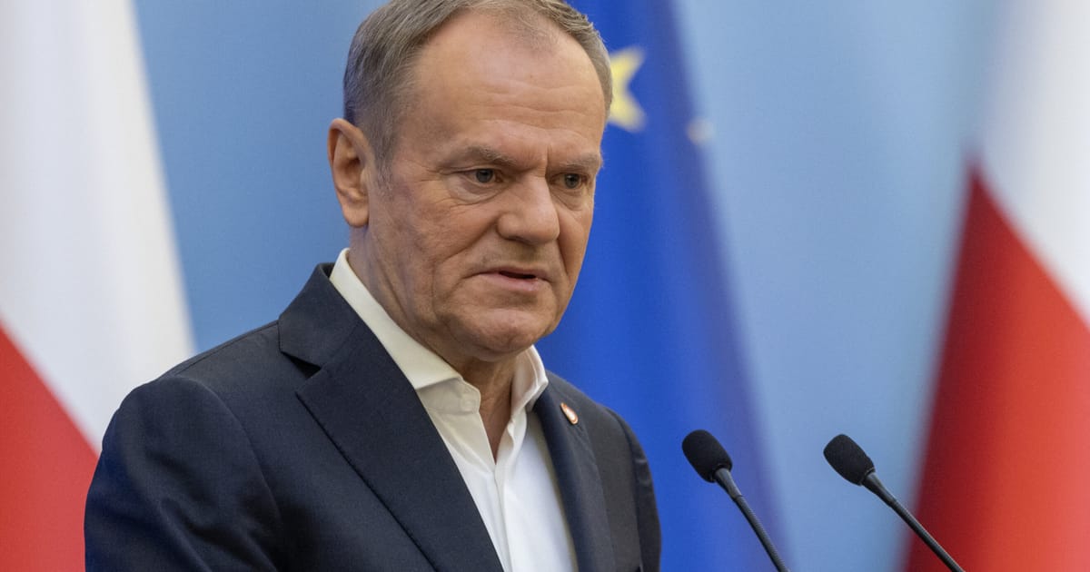 Tusk din Polonia cere liderilor europeni sa cheltuie mai mult pe aparare