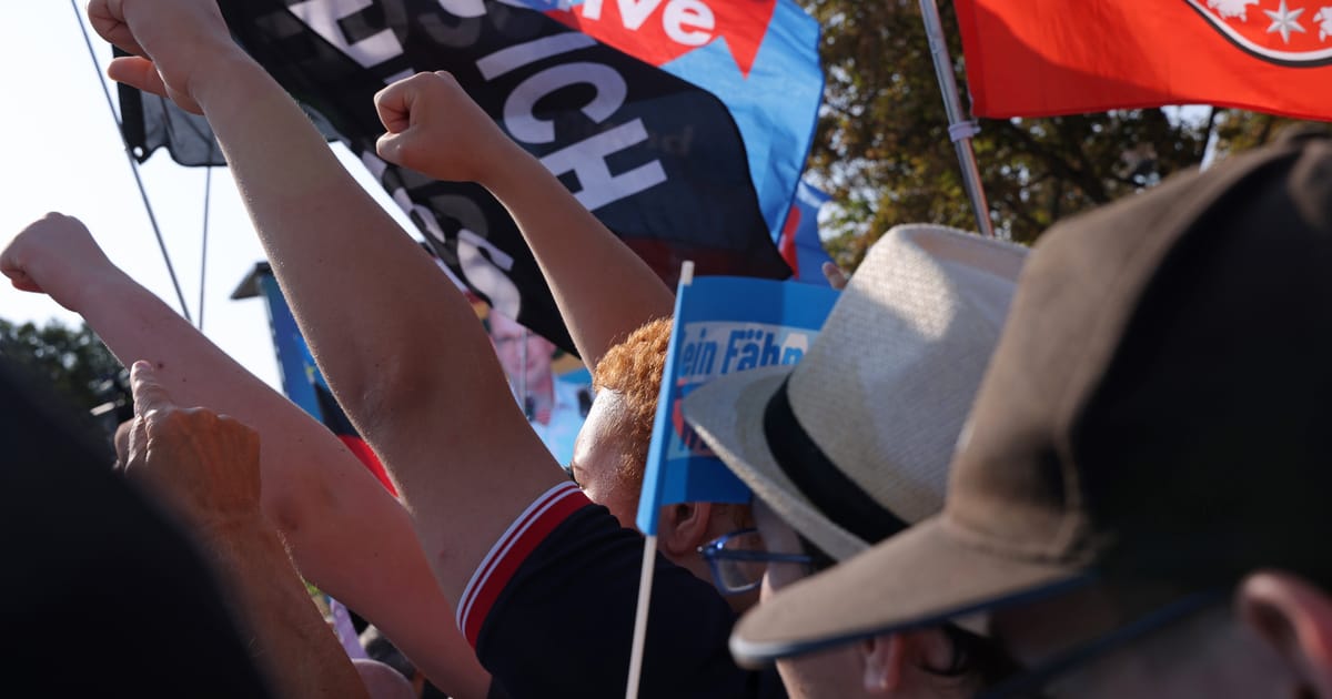 AfD din Germania dizolva aripa tanara extremista pentru a evita interdictia