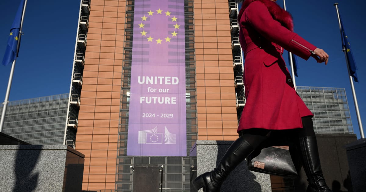 Bruxelles trebuie sa reformeze finantarea opaca a ONG urilor spun auditorii