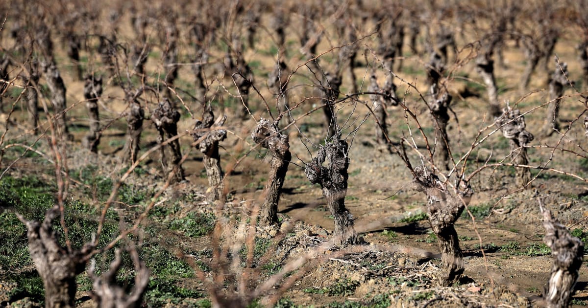 Seceta de primavara ameninta fermele si raurile Europei