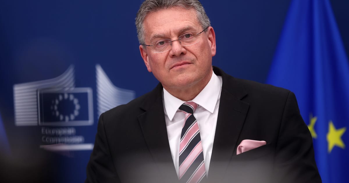 Cine se ocupa de comert in UE SUA nu e sigura