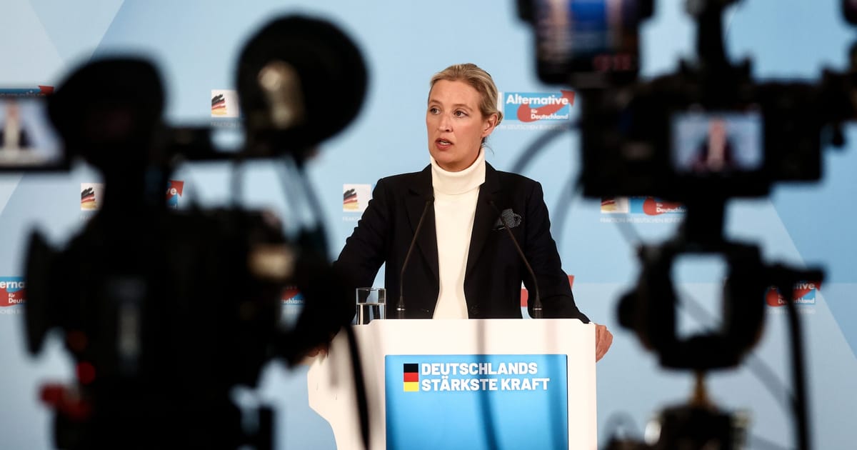 Echipa lui Trump se confrunta cu Berlin privind desemnarea AfD ca extremist de dreapta