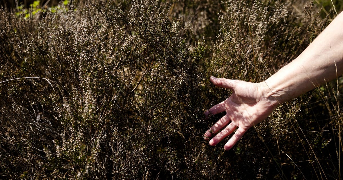 Oamenii de stiinta din UE avertizeaza asupra secetei de primavara