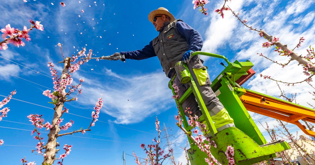 Planul agricol al UE aloca mai multi bani pentru ajutor in caz de dezastre chiar daca relaxeaza regulile ecologice