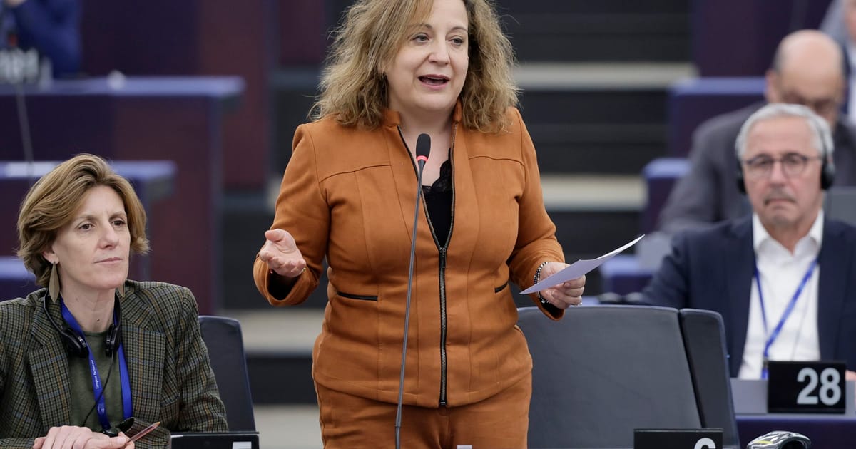 Razboiul PPE impotriva ONG urilor dezbina centrul politic al Europei