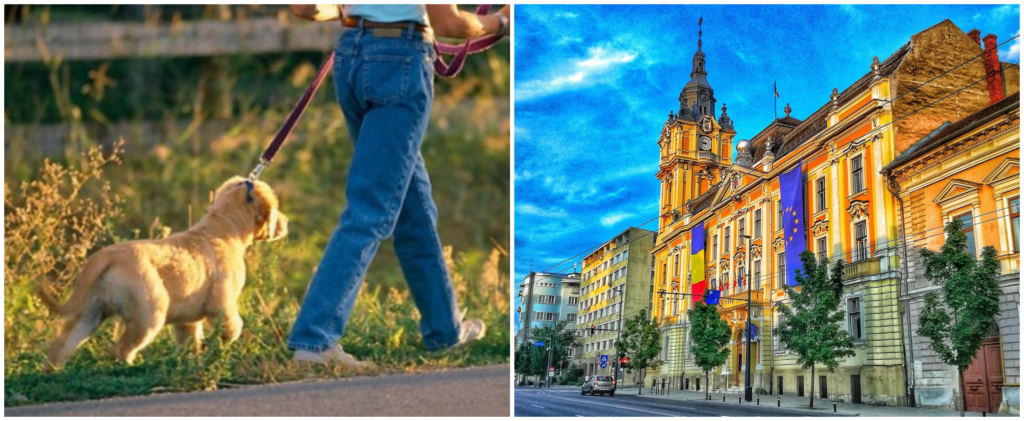 Proiect inedit la Cluj Napoca Animalele de companie vor avea acces