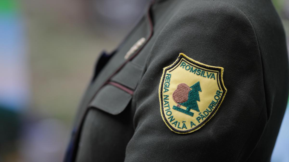 Cifrele dezastrului Romsilva Prime de 46 milioane lei