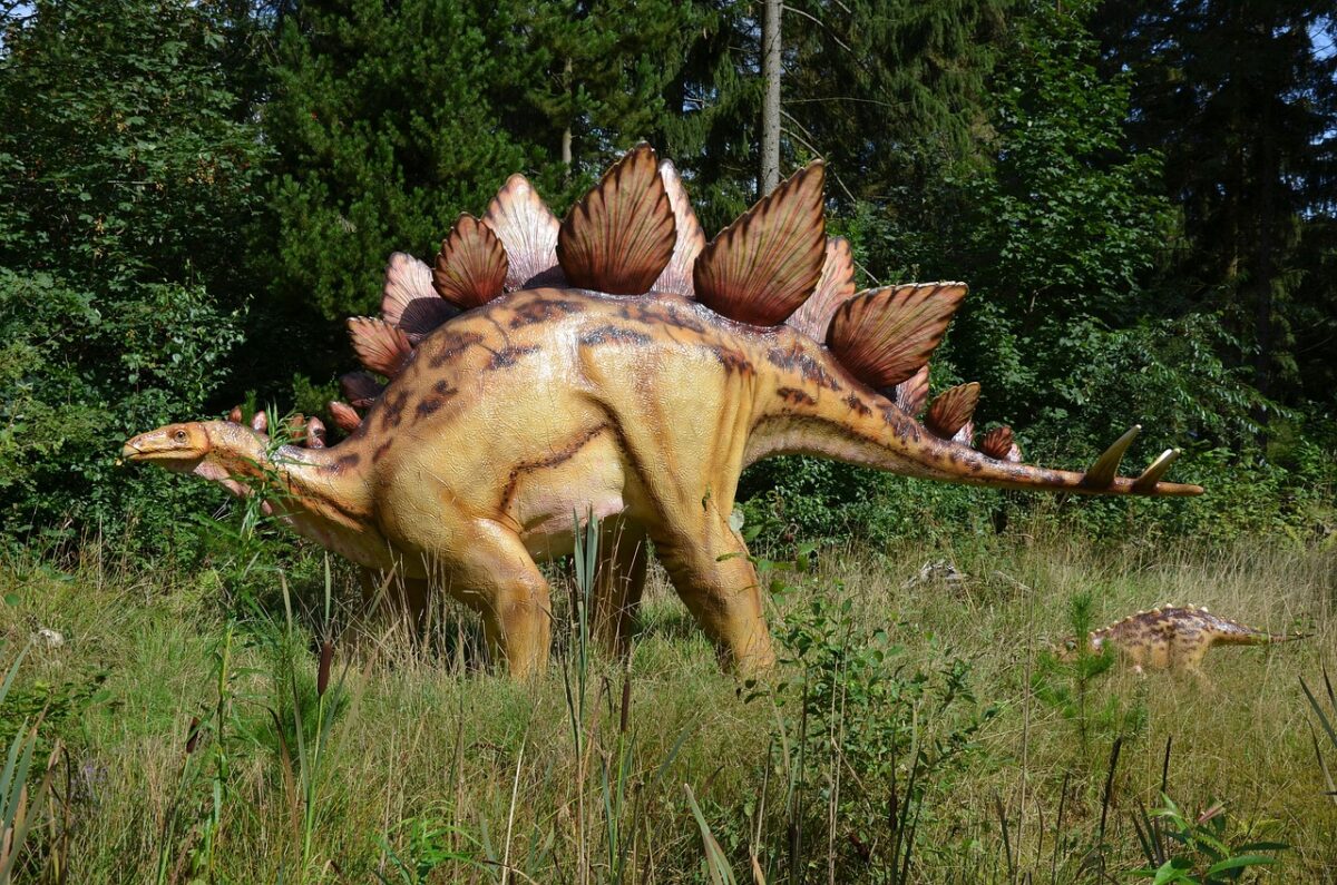 Sute de urme de dinozaur vechi de 200 milioane de ani 1 Sute de urme de dinozaur vechi de 200 milioane de ani