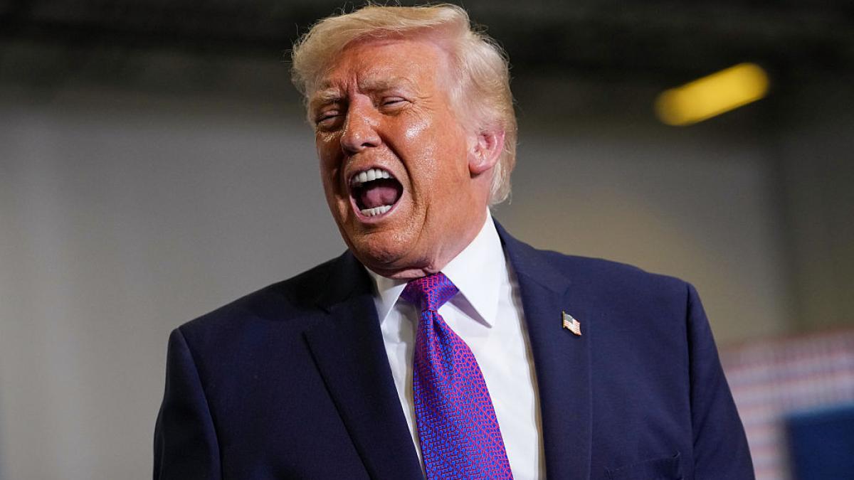 Donald Trump ataca NATO intr un mod fara precedent Sunt niste lasi Un tigru de hartie