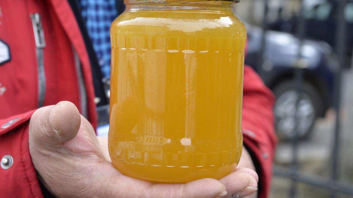 apicultorii romani cer ajutor de urgenta piata va fi inundata cu miere din mercosur scutita de