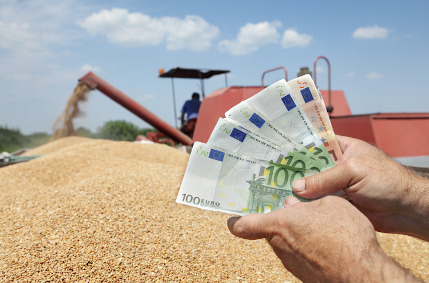 fermierii dintr o comuna din cluj pot obtine pana la 620 de euro in plus pe hectar oportunitatea pe care nu ar trebui sa o rateze