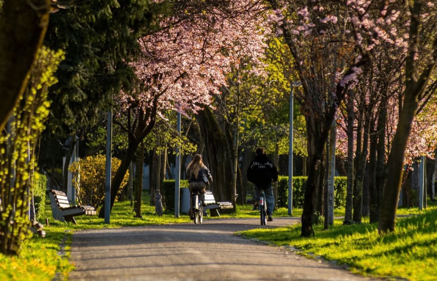 Cluj Napoca straluceste in aceasta primavara Ce poti explora pe malul Somesului si in parcurile orasului