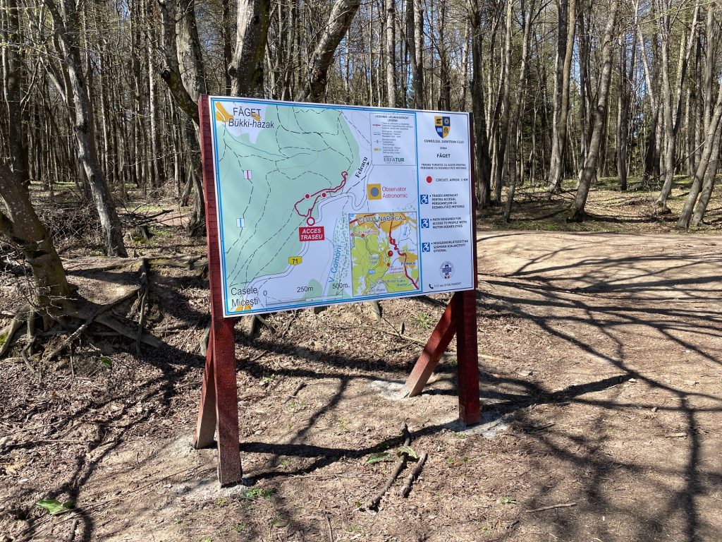 Clujenii cu dizabilitati de mobilitate pot in sfarsit sa se bucure de plimbari in Faget Primul traseu din regiune accesibil persoanelor in scaun cu rotile