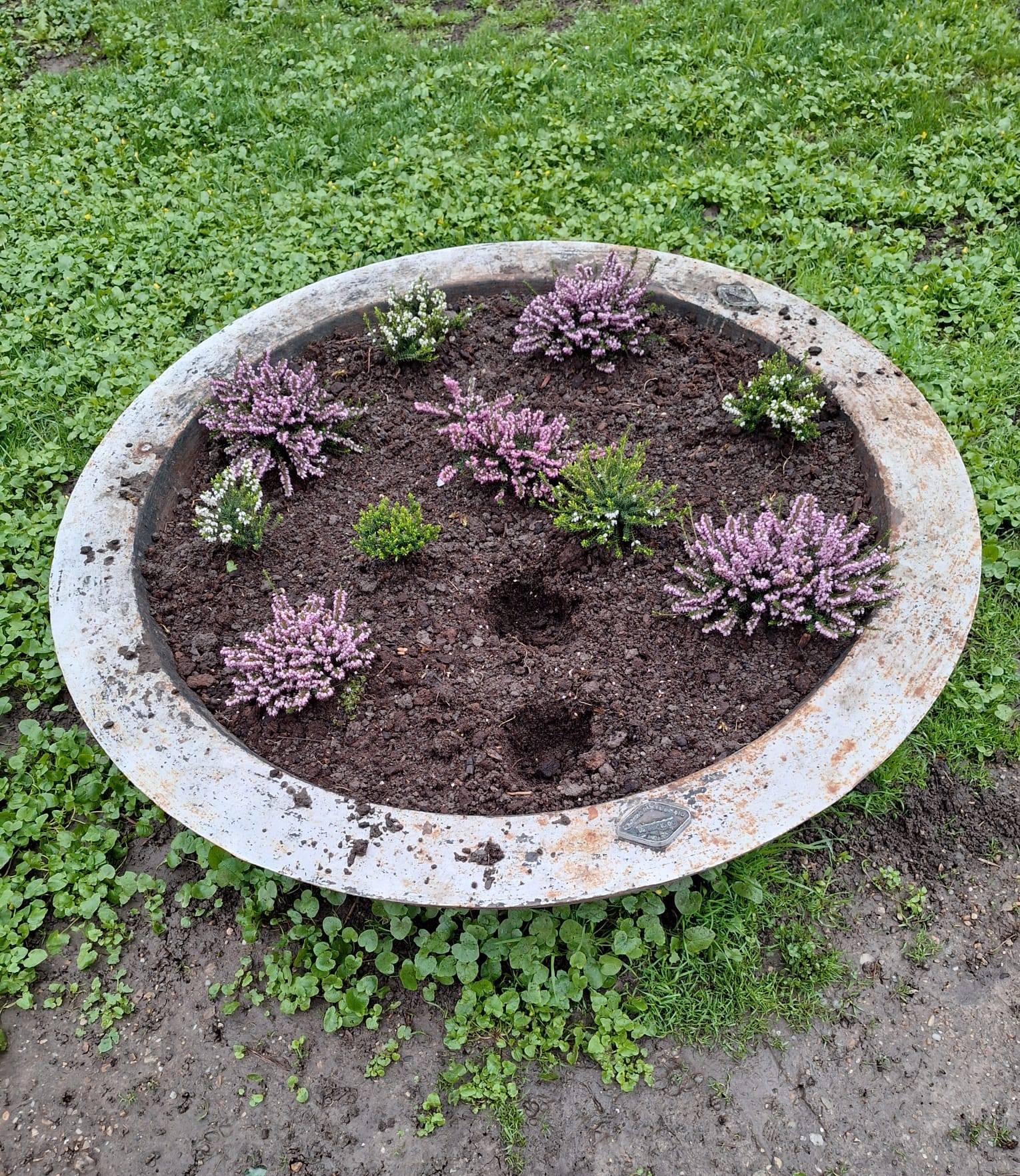 Florile din Parcul Cismigiu pazite de politia locala Sute de flori au fost furate in doar cateva zile