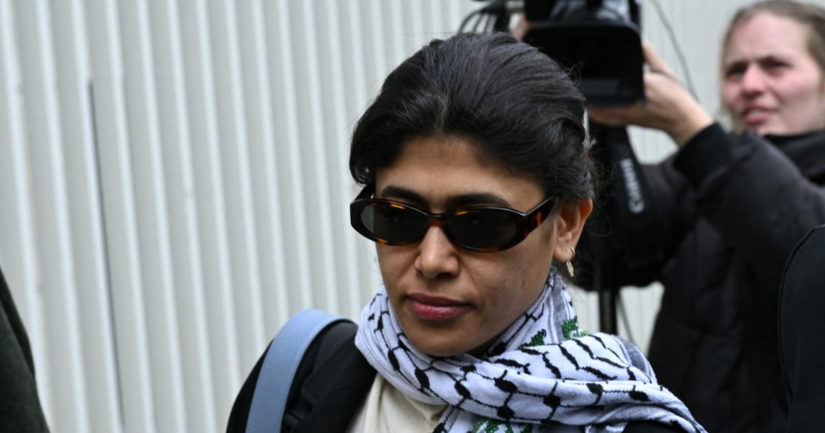 Singurul scop este sa ma dauneze Europarlamentara Rima Hassan riposteaza dupa retinerea de catre politie