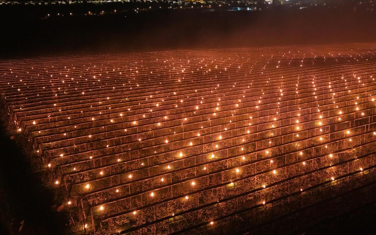 VIDEO O ferma din Cluj a ars 40000 de euro intr o singura noapte 20 de oameni nu au putut dormi toata noaptea in frig