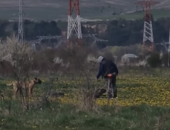 VIDEO Poitia demareaza o ancheta dupa ce Stiri de Cluj a publicat un clip cu un dresor care bate un catel Cercetarile sunt in curs de desfasurare