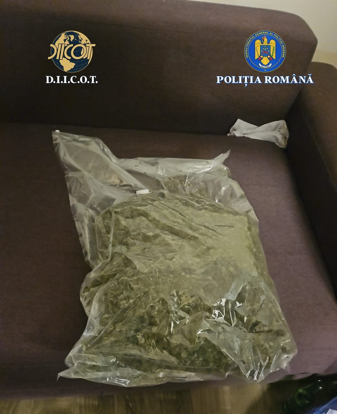 Aproape 3 kilograme de cannabis gasite de anchetatori in Bistrita Nasaud Doi tineri retinuti preventiv