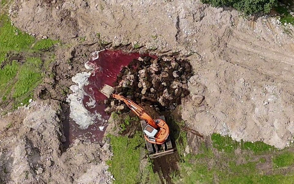 Colaps ecologic in Lesbos 32000 de animale ingropate neprotejate