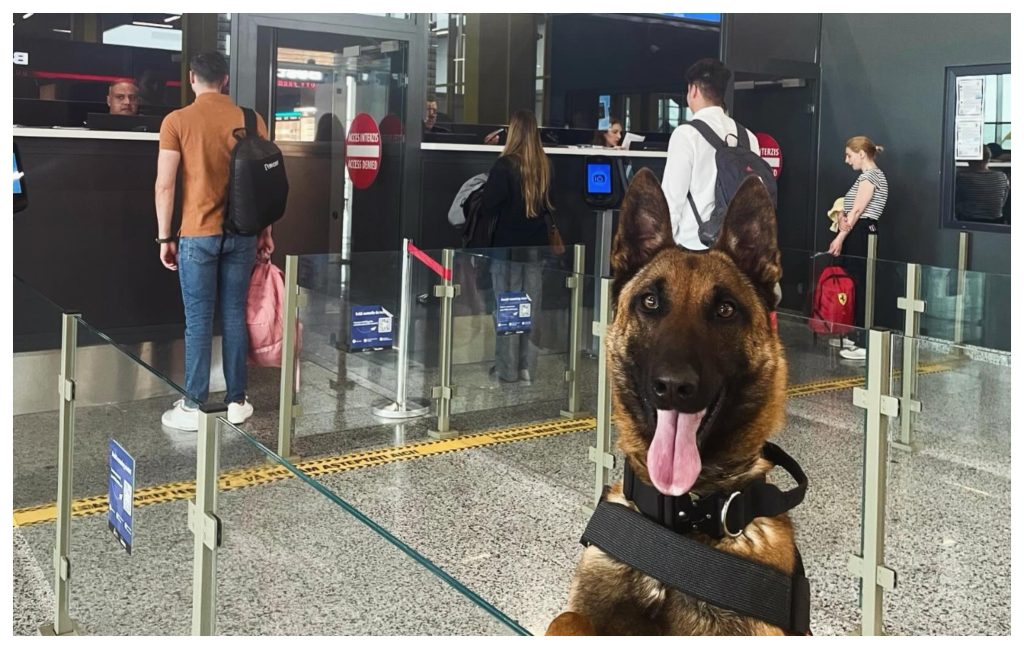 Noul angajat de la Aeroportul International Avram Iancu din Cluj a castigat popularitate Attentie pasageri