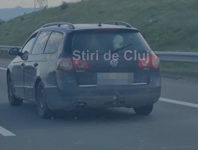 VIDEO. Cât de mare e grădina ta! Doi viței „de companie” plimbați cu mașina pe A10 între Turda și Aiud: „Cum mirosea oare dacă micuții au avut o «urgență»?” 1 VIDEO Cat de mare e gradina ta Doi vitei de companie plimbati cu masina pe A10 intre Turda si Aiud Cum mirosea oare daca micutii au avut o urgentza