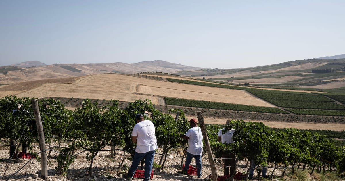 Asasinarea muncitorilor migranti in Calabria scoate la iveala sistemul ilegal de munca agricola din Italia