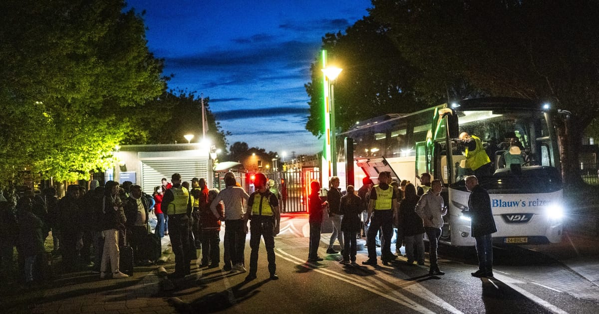 Negociatorii UE au convenit asupra unei noi legi privind returnarea migrantilor