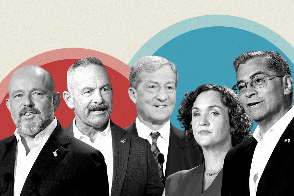 O verificare a realitatii privind sondajele in cea mai haotica cursa din California