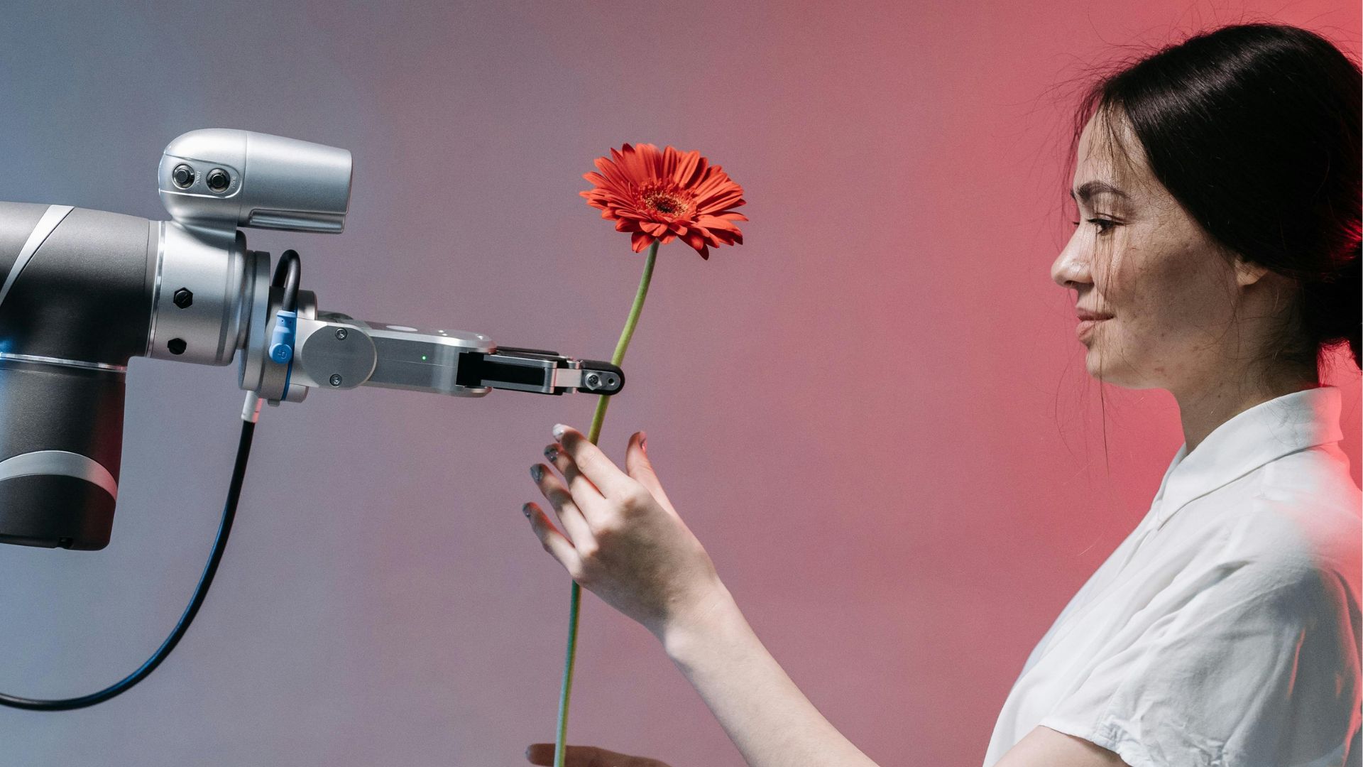Relații romantice cu Inteligența Artificială? Uite ce arată un studiu despre diferențele între generații. 1 Relatii romantice cu Inteligenta Artificiala Uite ce arata un studiu despre diferentele intre generatii