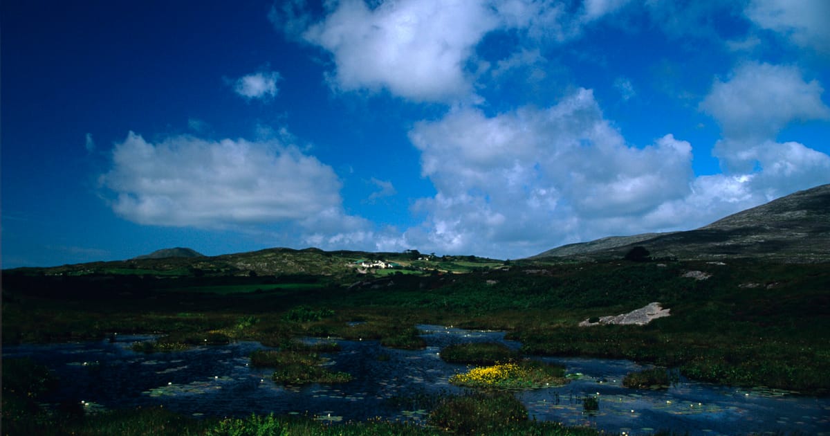UE da in judecata Irlanda pentru neprotejarea turbariilor bogate in carbon